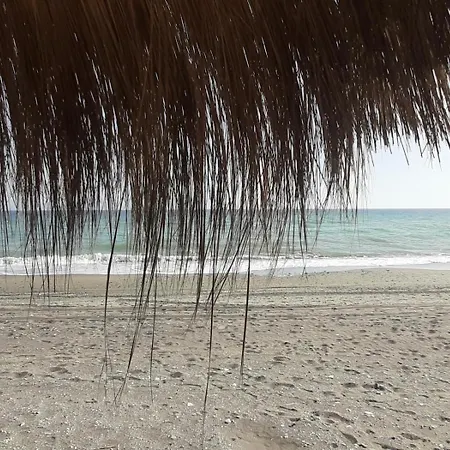 Laguna 7 4.14 * Torrox
